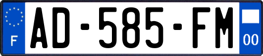 AD-585-FM
