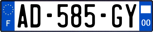 AD-585-GY