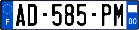 AD-585-PM