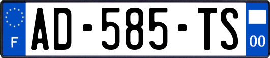 AD-585-TS