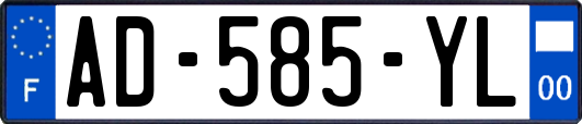 AD-585-YL
