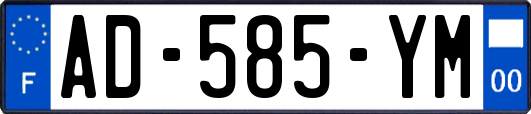 AD-585-YM