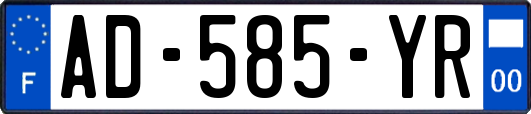AD-585-YR
