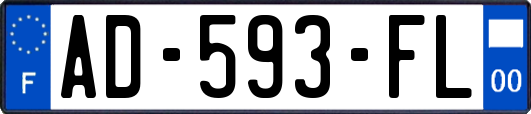 AD-593-FL