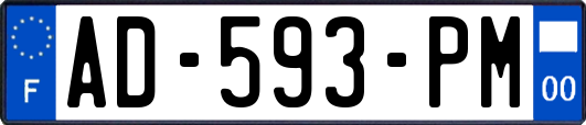 AD-593-PM