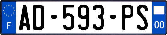 AD-593-PS