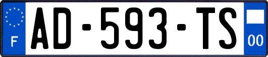 AD-593-TS