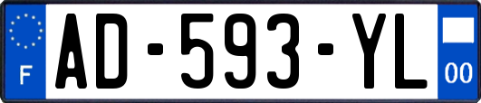 AD-593-YL