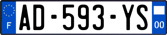 AD-593-YS