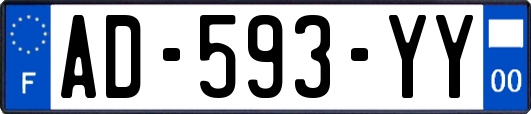 AD-593-YY
