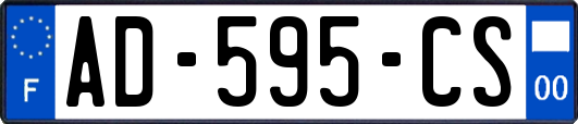 AD-595-CS