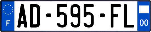 AD-595-FL