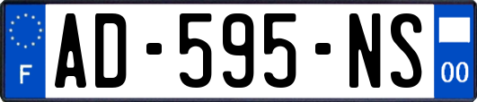 AD-595-NS