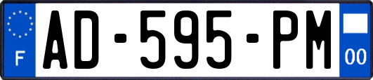 AD-595-PM