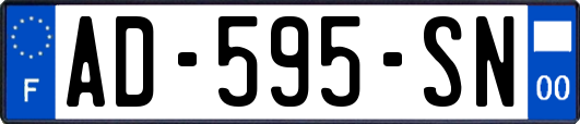 AD-595-SN