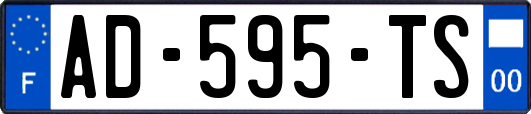 AD-595-TS