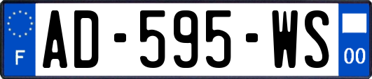 AD-595-WS