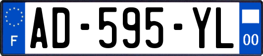 AD-595-YL
