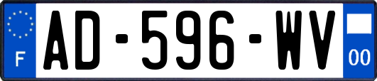 AD-596-WV