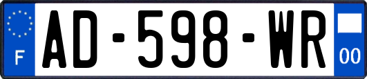 AD-598-WR