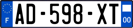 AD-598-XT