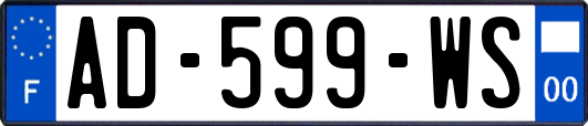 AD-599-WS