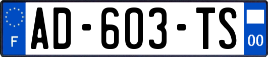 AD-603-TS