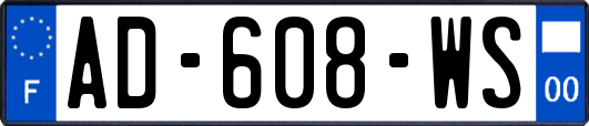 AD-608-WS