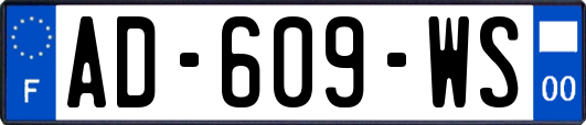 AD-609-WS