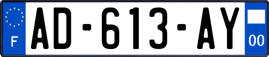 AD-613-AY
