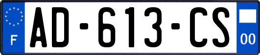 AD-613-CS