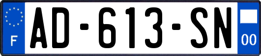 AD-613-SN