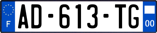 AD-613-TG