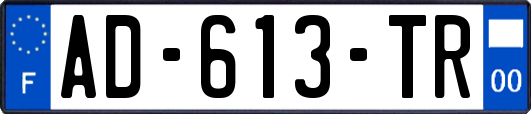 AD-613-TR