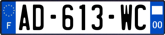 AD-613-WC