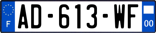 AD-613-WF