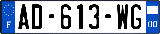 AD-613-WG