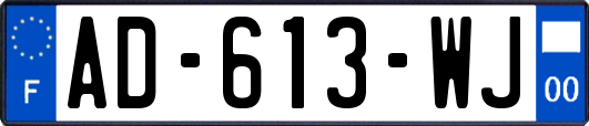 AD-613-WJ