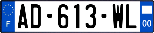 AD-613-WL