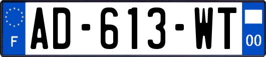 AD-613-WT