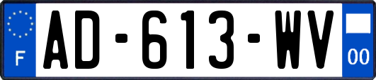 AD-613-WV