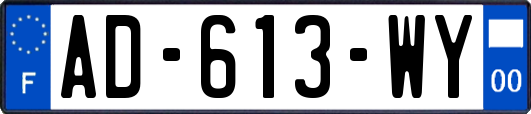 AD-613-WY