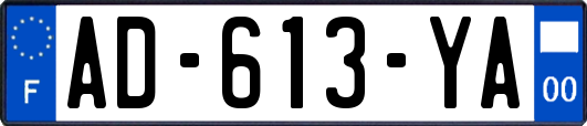 AD-613-YA