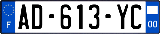 AD-613-YC