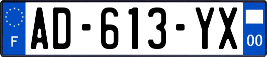 AD-613-YX