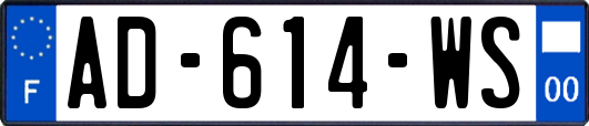 AD-614-WS