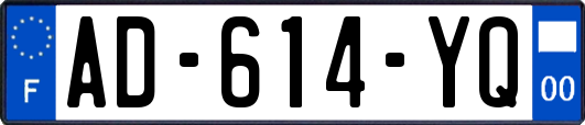 AD-614-YQ