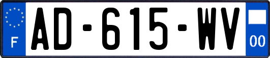 AD-615-WV