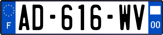 AD-616-WV