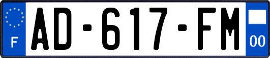 AD-617-FM